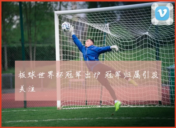 板球世界杯冠军出炉 冠军归属引发关注