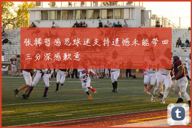 张稀哲感恩球迷支持遗憾未能带回三分深感歉意
